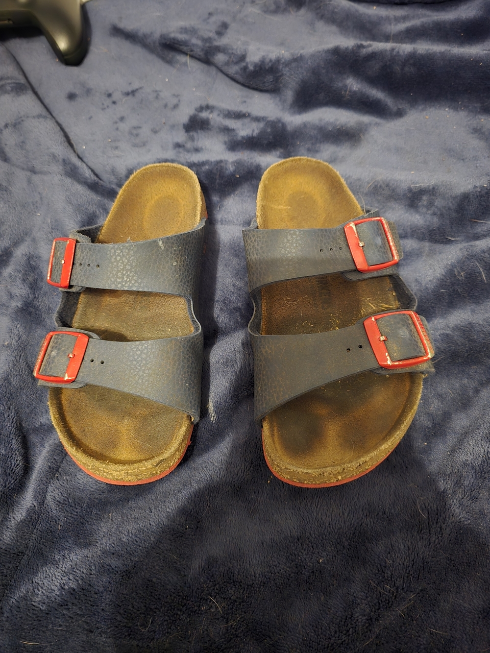 Birkenstock Kids Navy Blue Sandals with Red Buckles